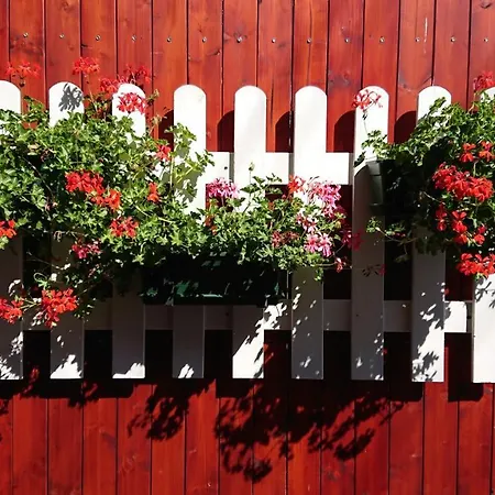 Napsugar Hotel Balatonmariafurdo